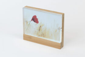 Bamboo Panel Acrylic_4x6_6