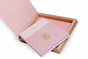 albumbox vivid white 02