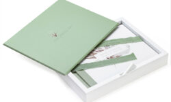 Premium Boxes