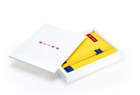 Wood Panel Album Box